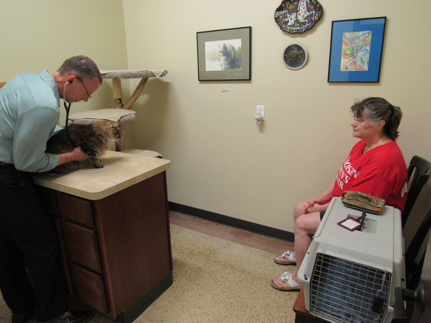 Lakeview Veterinary Clinic Cat Annex